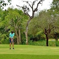Sân golf hoang dã nhất thế giới Skukuza Golf Club
