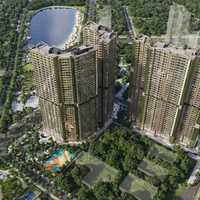 Dự án Lumière Evergreen