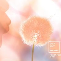 Đón năm mới với loạt diện mạo lấy cảm hứng từ màu sắc chủ đạo 2024 “Peach Fuzz”