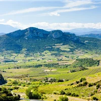 Vùng trồng nho Languedoc