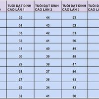 4 đỉnh cao của đời người thần số học: Ý nghĩa & cách tính