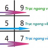 vi-tri-cua-moi-truc-tren-bieu-do-ten-than-so-hoc.jpg