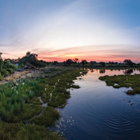 Microcamp - Xu hướng du lịch mạo hiểm mới