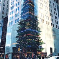 Cây thông ảo của Louis Vuitton tại tòa nhà 12 tầng ở New York