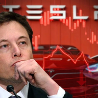 Elon Musk khơi mào cuộc chiến đưa giá xe điện xuống đáy