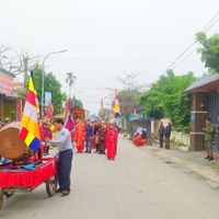 Ảnh trong bài