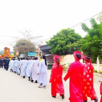 Ảnh trong bài