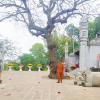 Ảnh trong bài