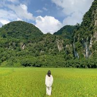 Ảnh trong bài