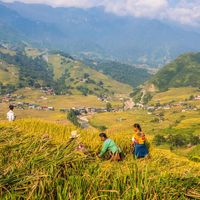 Du lịch Sapa: Chuyến đi trắc trở của cô nàng “bánh bèo”