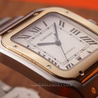 cartier-w2sa0006-13-of-24.jpg?v=1641368786520