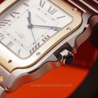 cartier-w2sa0006-18-of-24.jpg?v=1641368974465