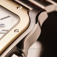 cartier-w2sa0006-19-of-24.jpg?v=1641368975330
