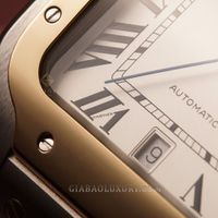 cartier-w2sa0006-21-of-24.jpg?v=1641368973336