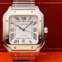 cartier-w2sa0006-24-of-24.jpg?v=1641369063286