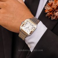 cartier-w2sa0006-6-of-24.jpg?v=1641369146996