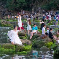 Chen chân chụp ảnh bãi rêu ven biển Đà Nẵng