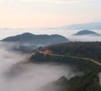 Ảnh trong bài
