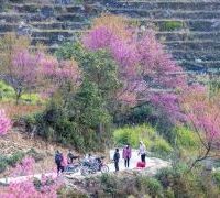 Ảnh trong bài