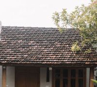 Ảnh trong bài