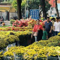 Đi khắp Sài Gòn để chụp ảnh chợ hoa Tết