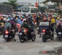 Ảnh trong bài