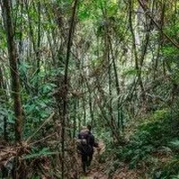 Ảnh trong bài