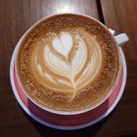 capuchino-5510-1677344719.jpg?w=680&h=0&q=100&dpr=1&fit=crop&s=8PVUsWp9twL9KPvcQzxrrA