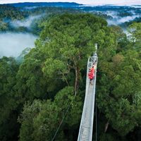 Ulu Temburong ivivu 1