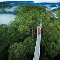 Ulu Temburong ivivu 1