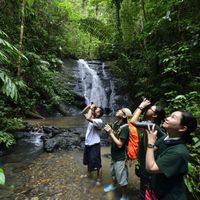 Ulu Temburong ivivu 3
