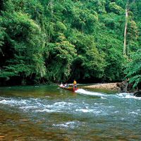 Ulu Temburong ivivu 4