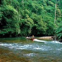 Ulu Temburong ivivu 4