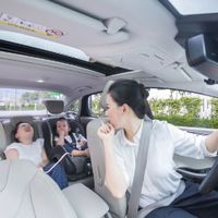 mất tập trung khi lái xe