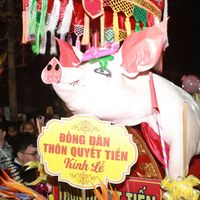  lễ hội rước lợn