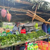 Ảnh trong bài