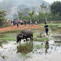 Ảnh trong bài