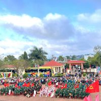 Ảnh trong bài