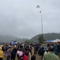 Ảnh trong bài