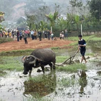Sôi nổi lễ hội Lồng tồng ở Tân Hợp