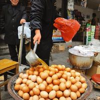 Ảnh trong bài
