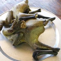 Ảnh trong bài