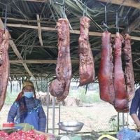 Ảnh trong bài