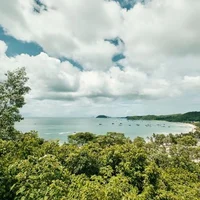 Ảnh trong bài