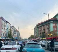 Ảnh trong bài