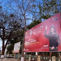 Ảnh trong bài