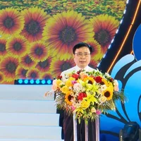 Ảnh trong bài