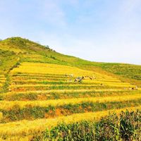 Du lịch Văn Yên hứa hẹn là điểm đến “an toàn, hấp dẫn, ấn tượng”