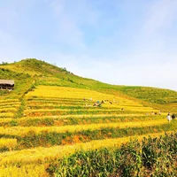 Ảnh trong bài