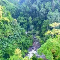 Ảnh trong bài